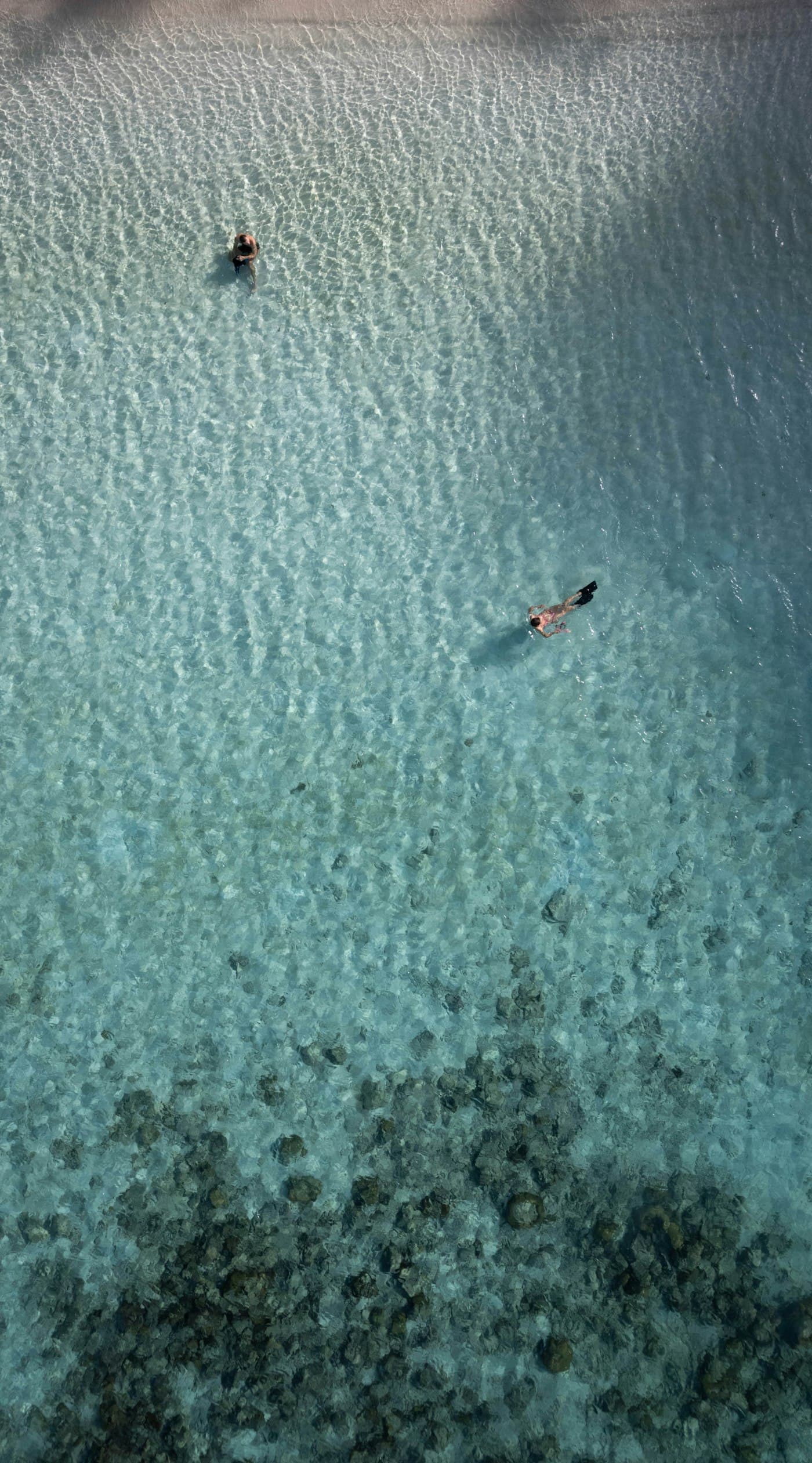 The Morning Escape