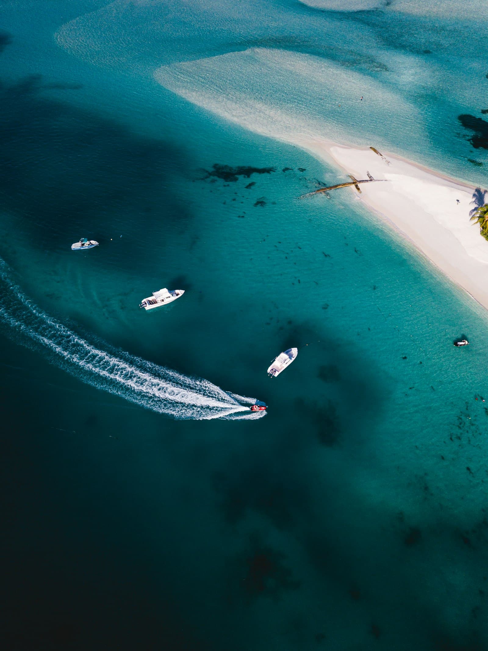 Boat trips in Jeddah: the complete guide